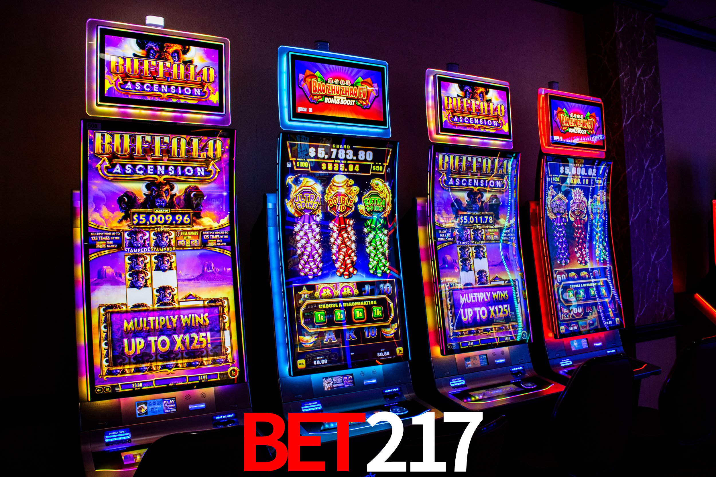 Descubra o Mundo do Cassino Online com bet217